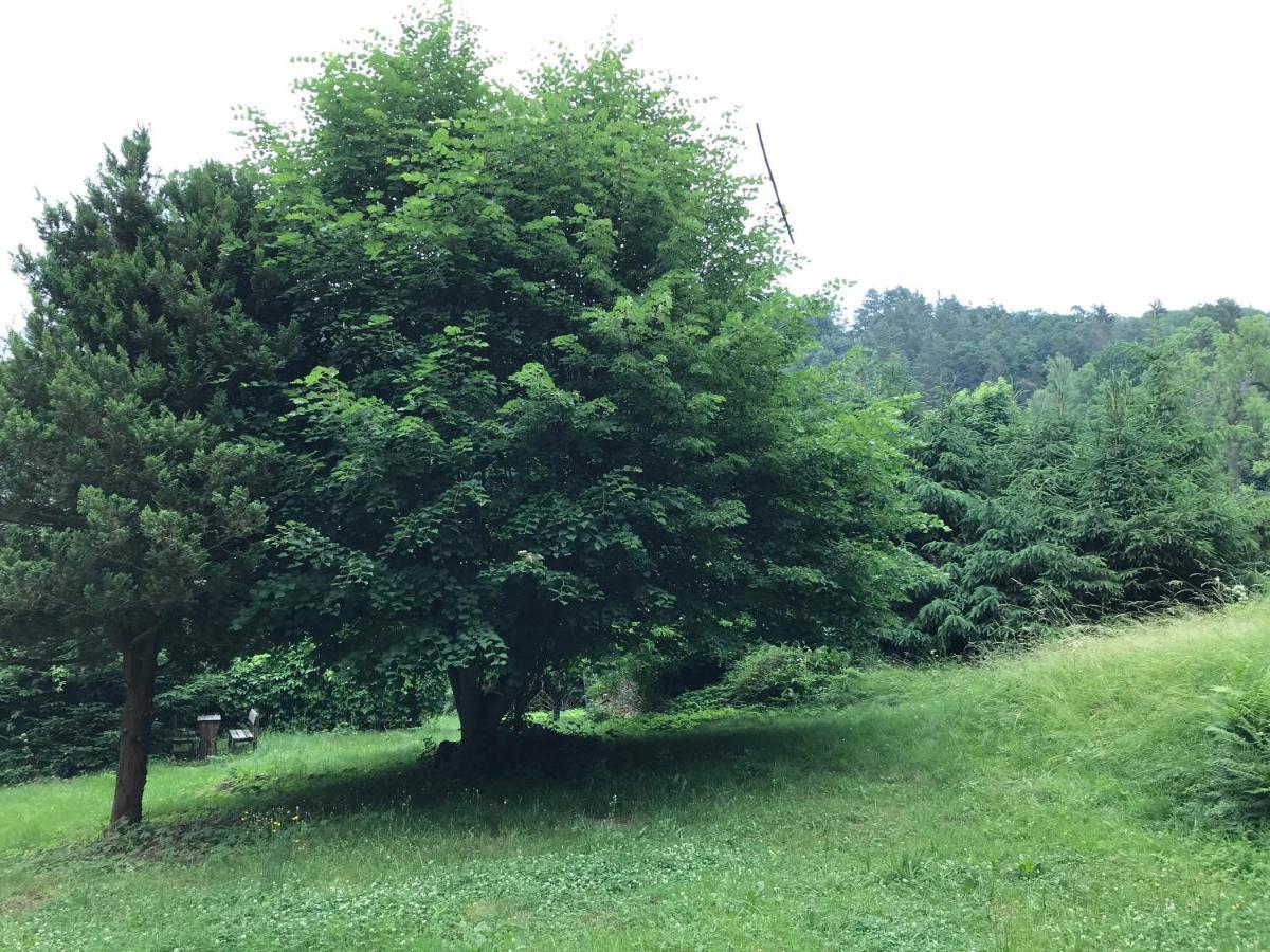 Apartmany Janska エクステリア 写真